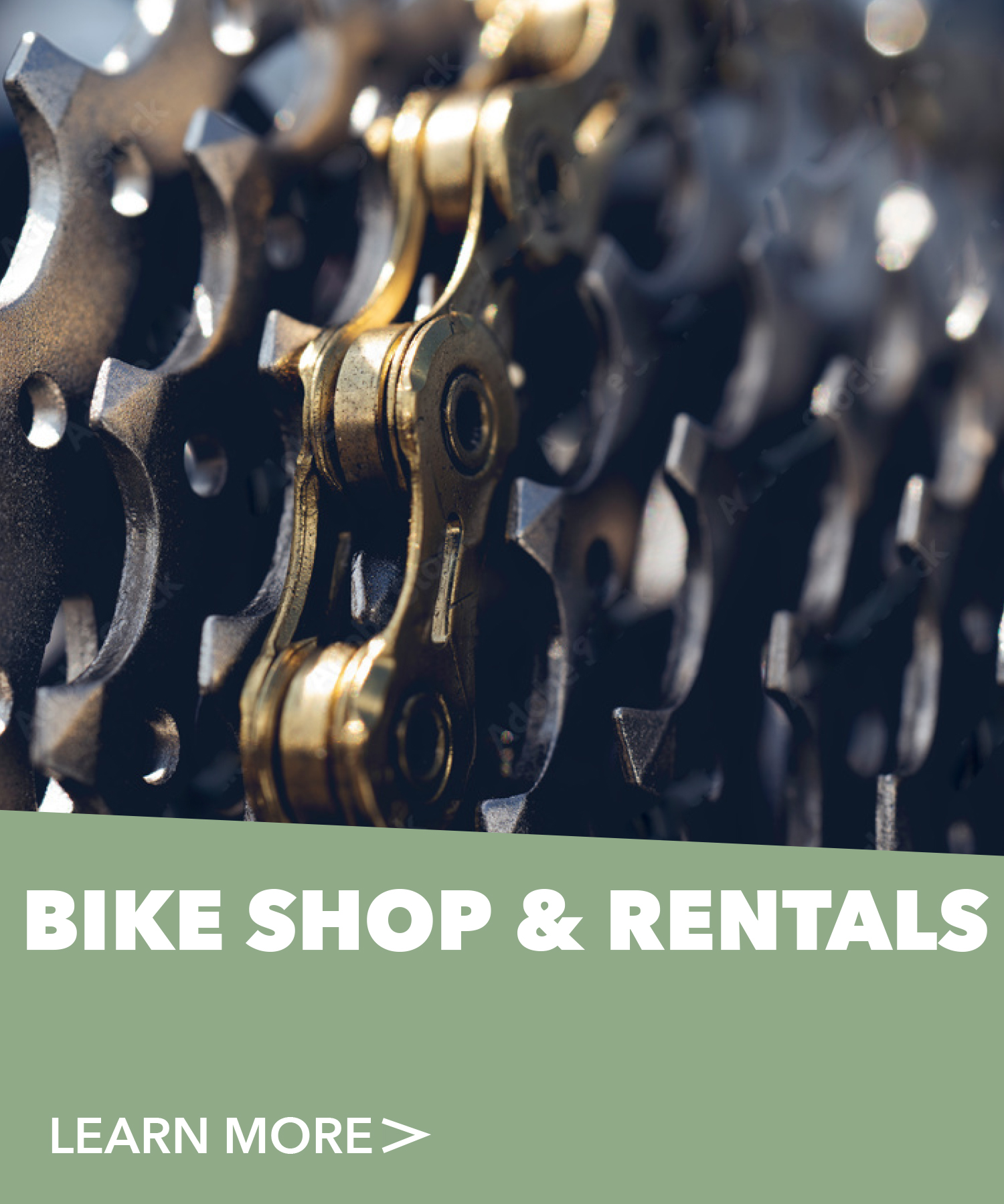 Summer Front Page MtAbram